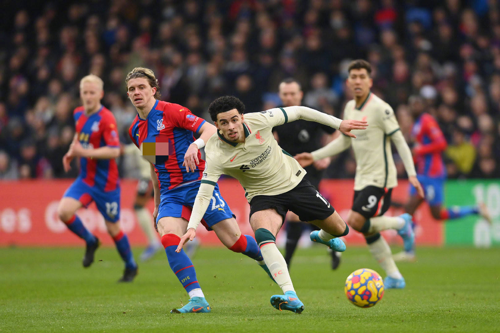 棋坛天才再 棋坛天才再